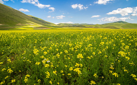 Государственная экологическая экспертиза (ГЭЭ): особенности прохождения в 2026г.