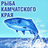 fishkamchatka