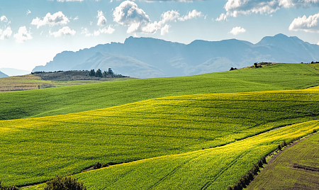 Государственный кадастровый учет и комплексные кадастровые работы в 2026г.